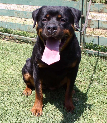 fiona