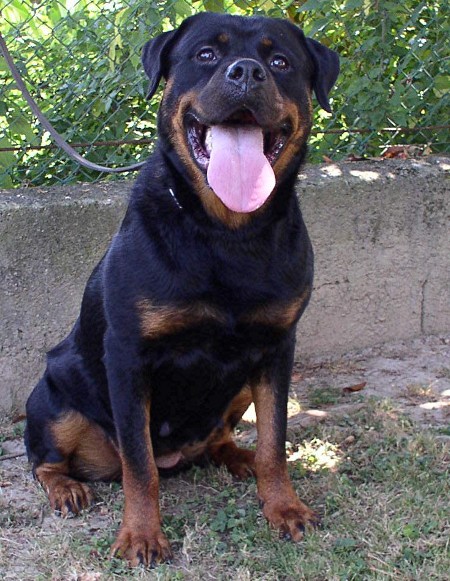 fiona