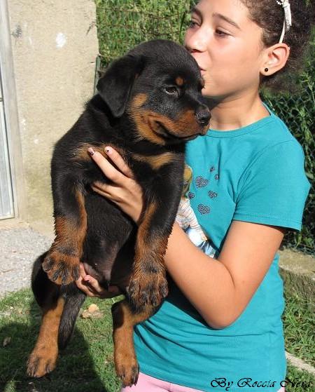 Foto a 50 gUZEUS Roccia Nera