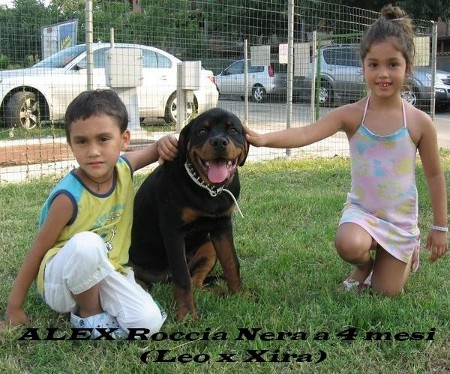 ALEX Roccia Nera