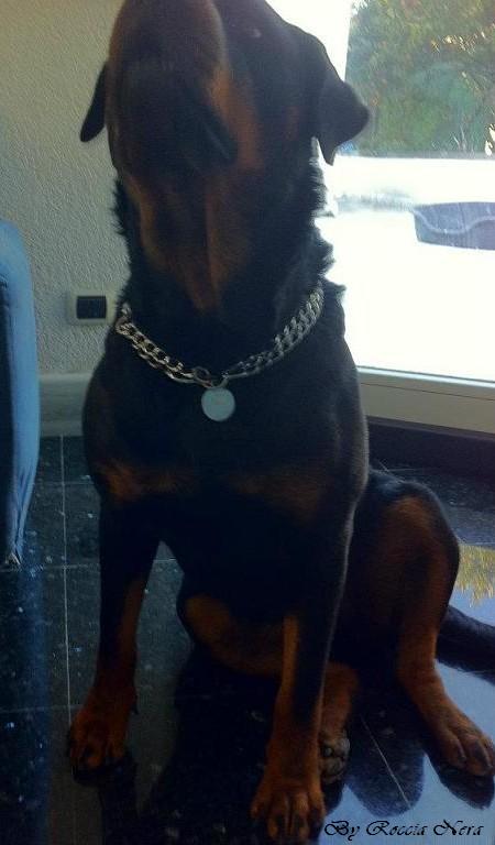 Caty Roccioa Nera