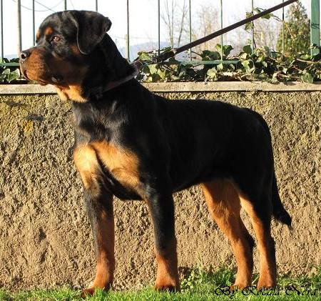 Nerone Roccia Nera