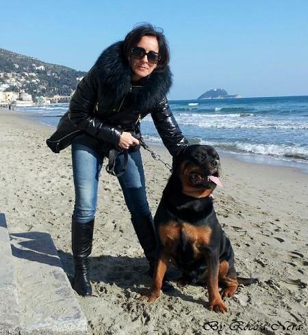 King Roccia Nera