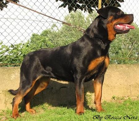 kefren Roccia Nera