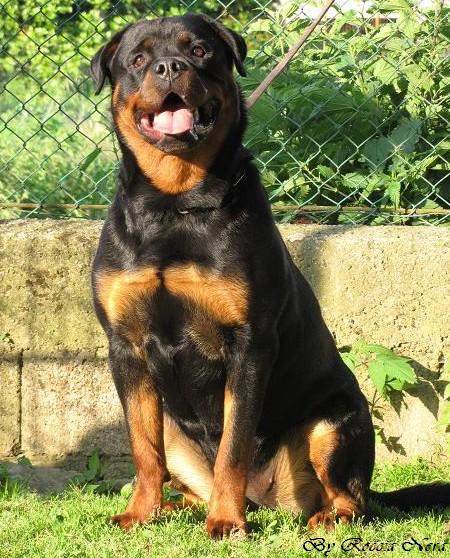kefren Roccia Nera