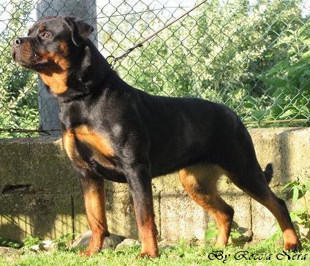 kefren Roccia Nera