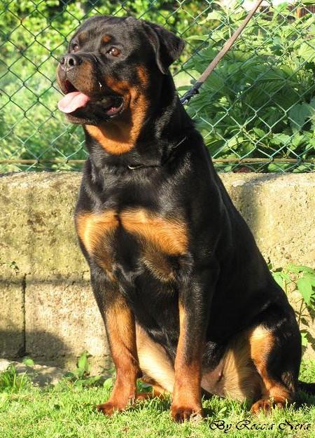 kefren Roccia Nera