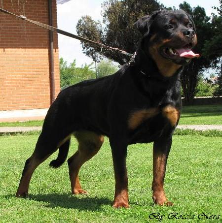 kefren Roccia Nera