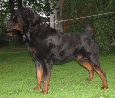 Arthur