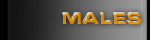 nm